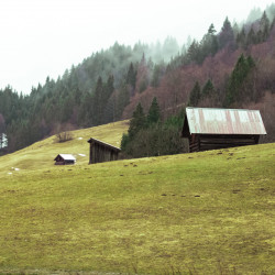 cabane dans prairies