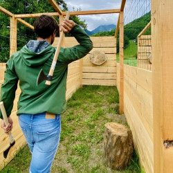 copy of Throwing axes
