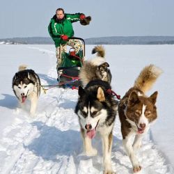 Initiation à la Conduite d’Attelage à Saint-Lary | Devenez Musher