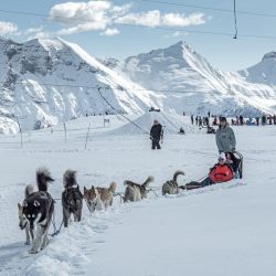 Bapteme de traineau à chiens à Saint Lary