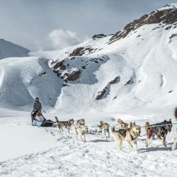 Traineau à chiens sur la station de Saint-Lary
