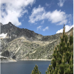 Randonnée dans la réserve naturelle du Néouvielle des Hautes Pyrénées près de Saint Lary