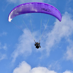 Voile de parapente violette