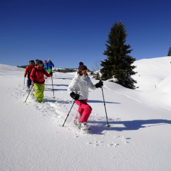 balade en raquette après midi