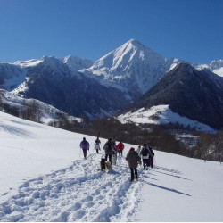 belles traces dans la neige faite par des randonneurs