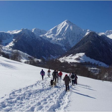 belles traces dans la neige faite par des randonneurs