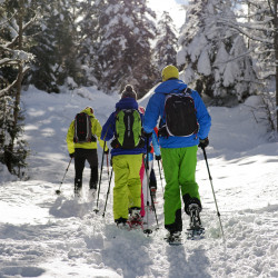 Sortie en raquettes en forêt