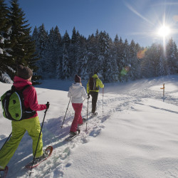 balade en raquettes à Saint Lary