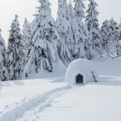 L'igloo, la maison des Inuits