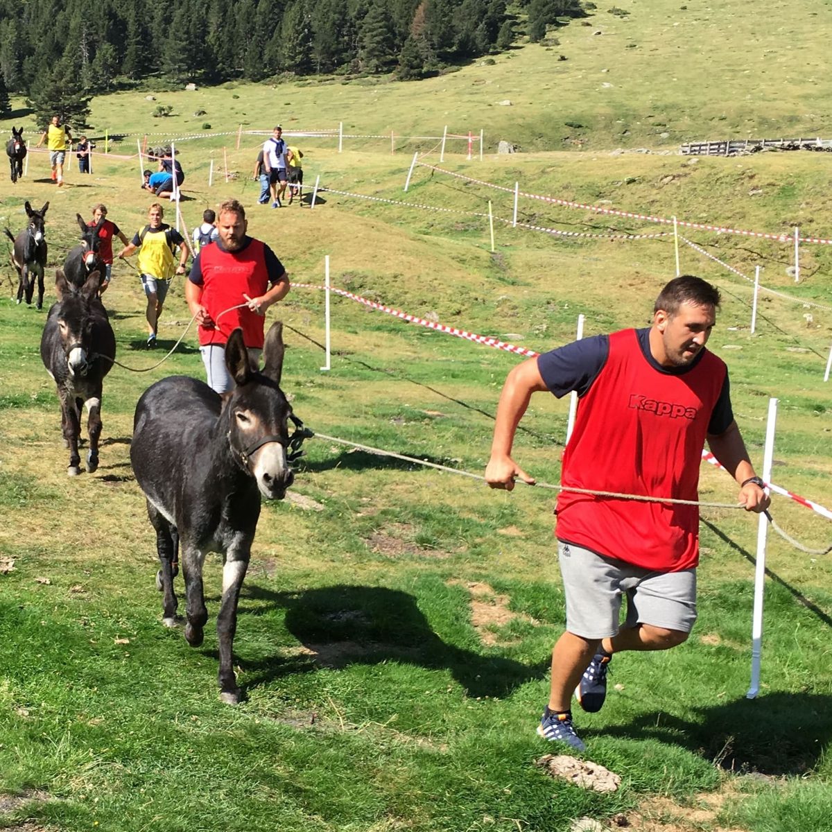 Course avec des ânes – Challenge entreprise à Saint-Lary